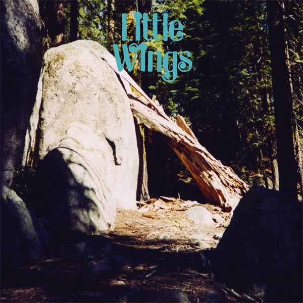 LITTLE WINGS - DISCOVER WORLDS OF WONDER