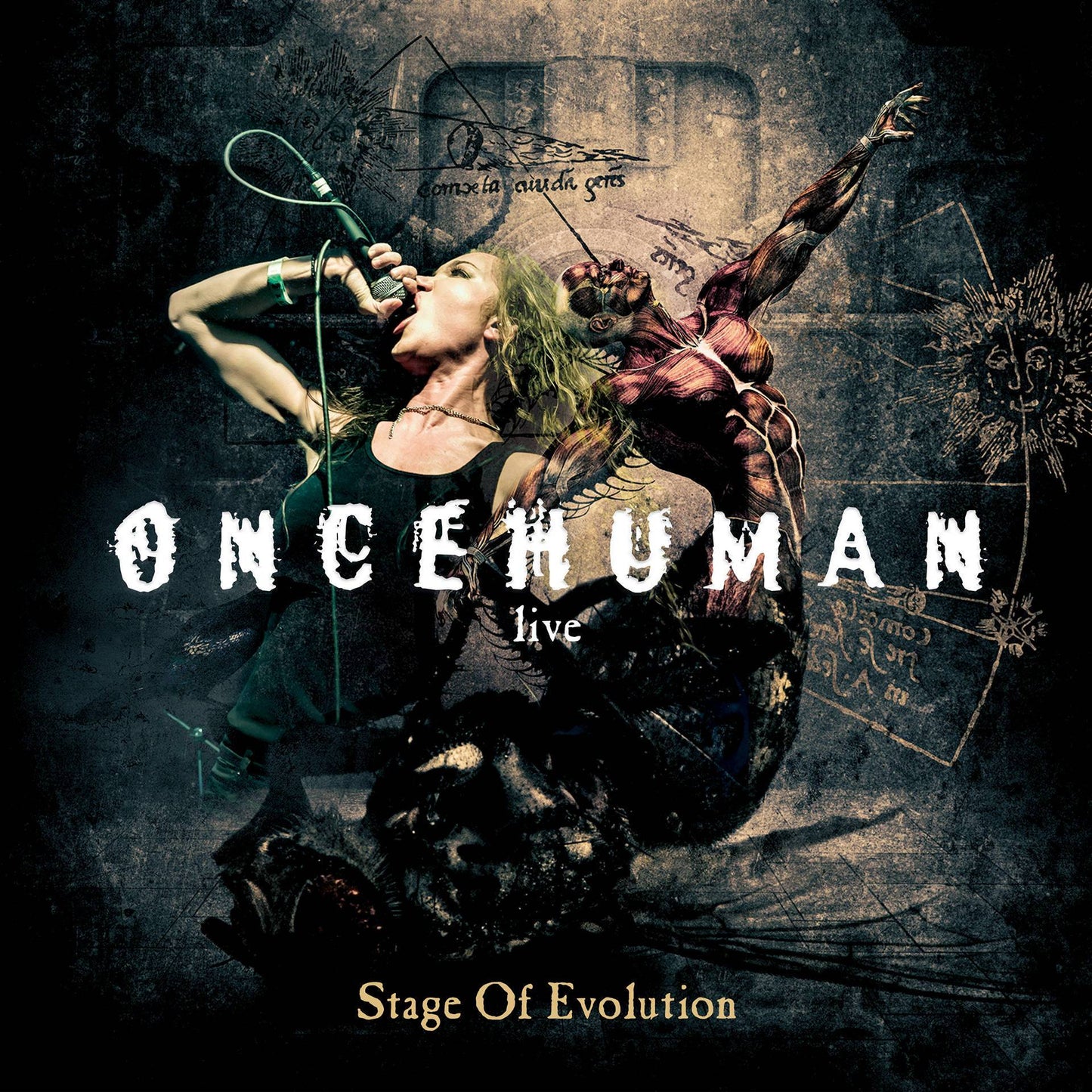 ONCE HUMAN - STAGE OF EVOLUTION