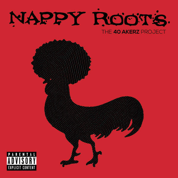 NAPPY ROOTS - 40 AKERZ PROJECT