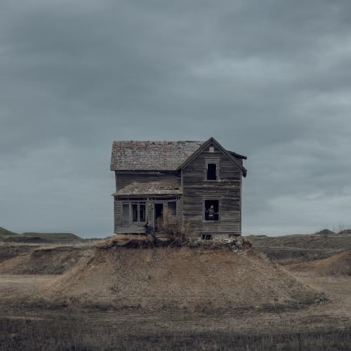 TOMMY LEFROY - THE PRECARIAT (BLACK VINYL)