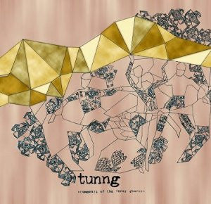 TUNNG - COMMENTS OF THE INNER CHORUS