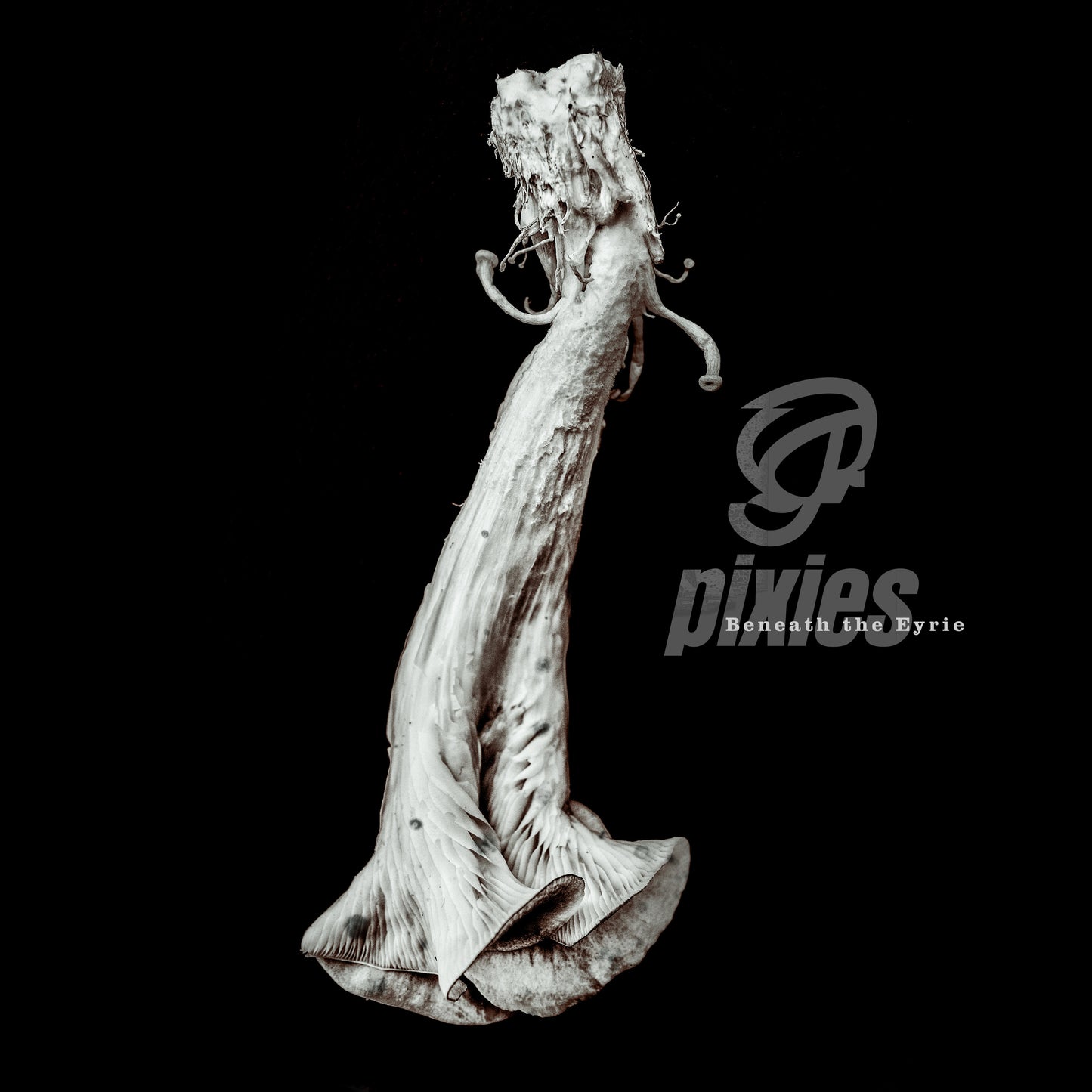 PIXIES - BENEATH THE EYRIE (CD/BOOK)