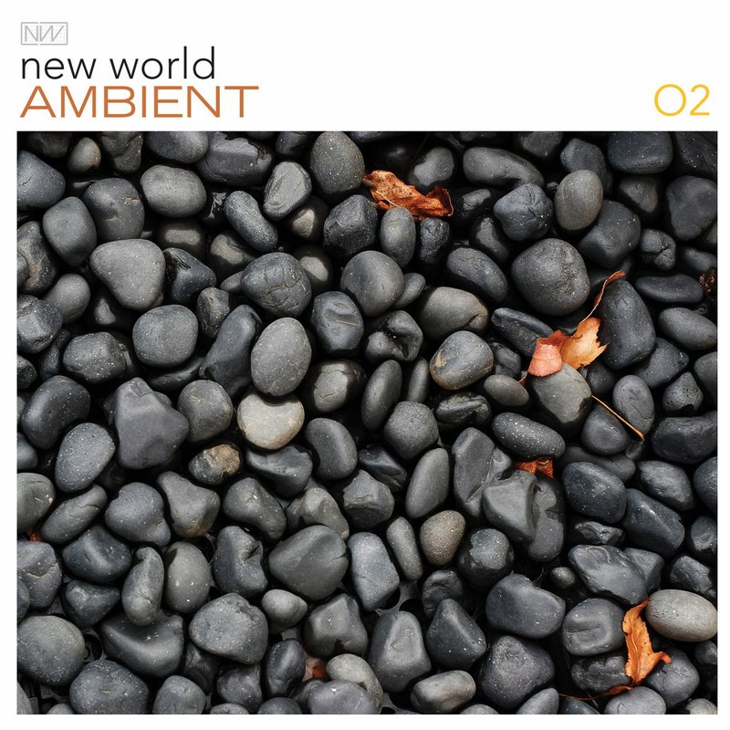 VARIOUS - NEW WORLD AMBIENT