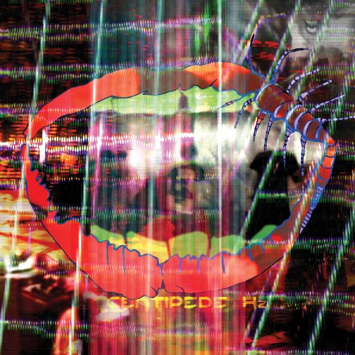 ANIMAL COLLECTIVE - CENTIPEDE HZ (DL CARD) (VINYL)