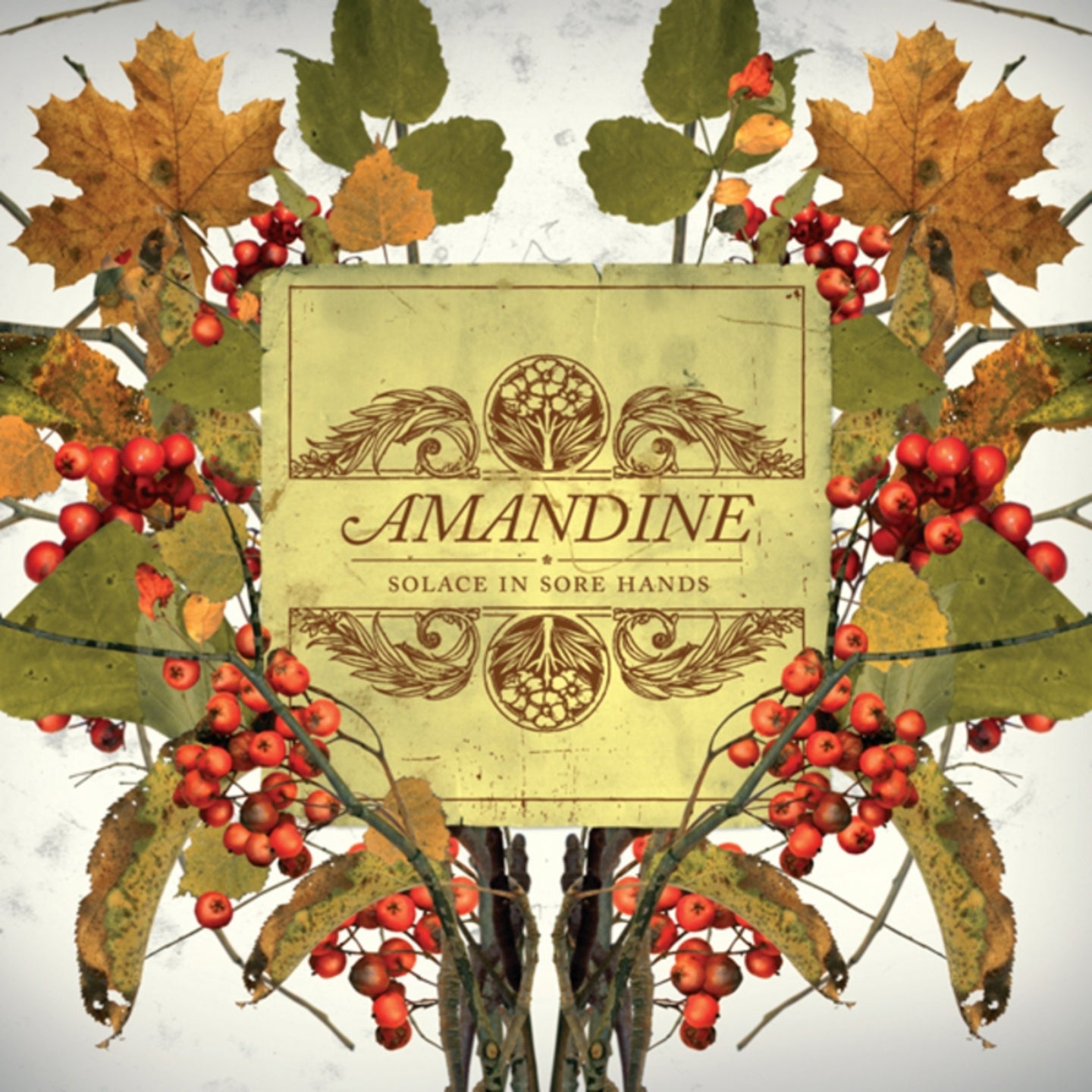 AMANDINE - SOLACE IN SORE HANDS
