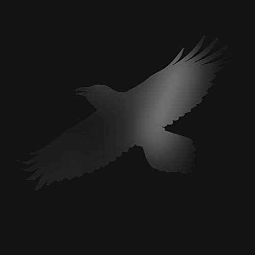 SIGUR ROS - ODINS RAVEN MAGIC