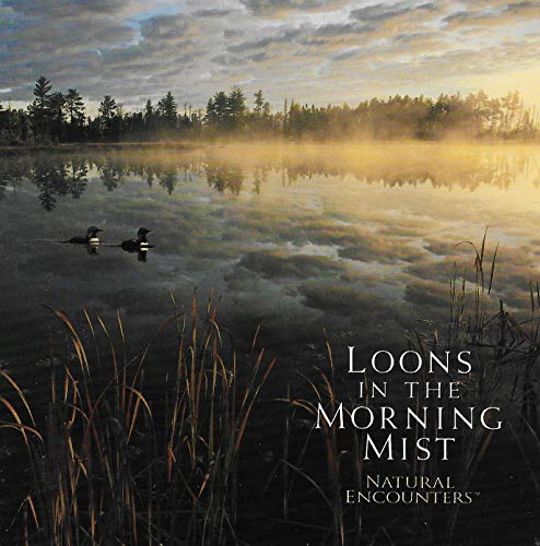 NATURAL ENCOUNTERS - LOONS IN MORNING MIST