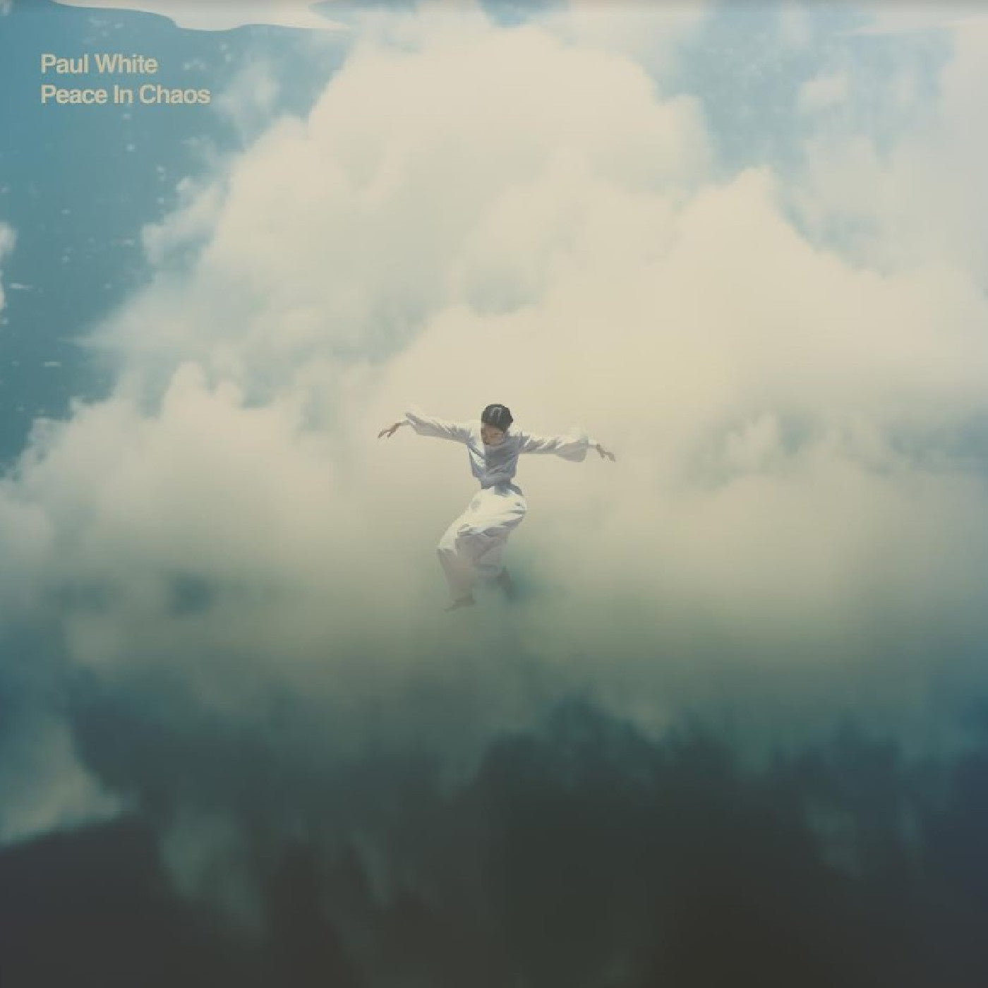 WHITE, PAUL - PEACE IN CHAOS