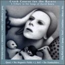 BOWIE, DAVID - TRIBUTE-CRASH COURSE FOR THE RAVERS