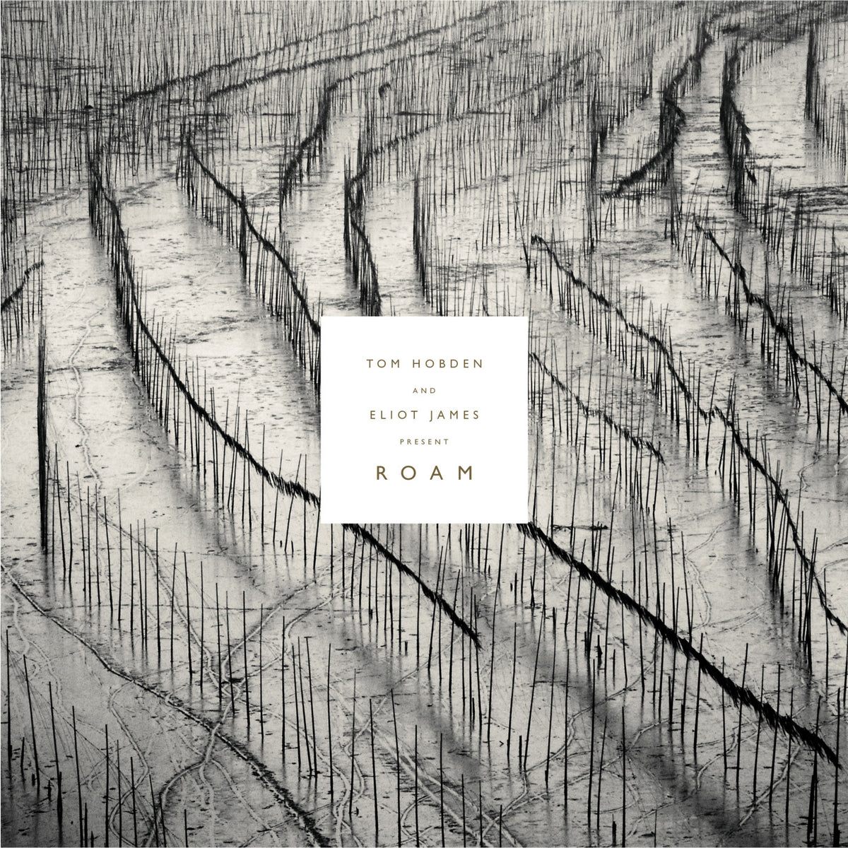 HOBDEN, TOM AND ELIOT JAMES - PRESENT: ROAM