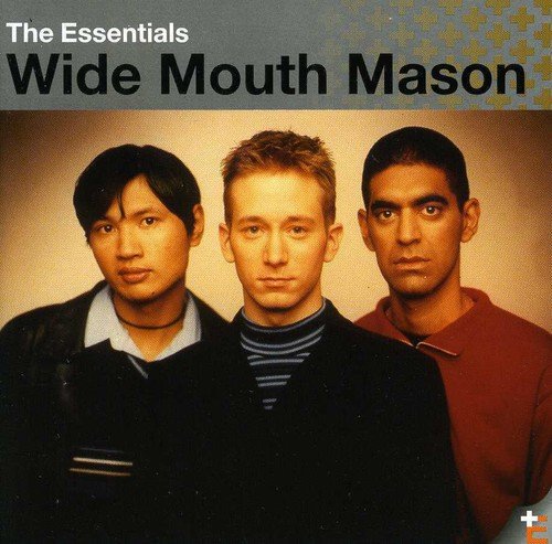 WIDE MOUTH MASON - THE ESSENTIALS