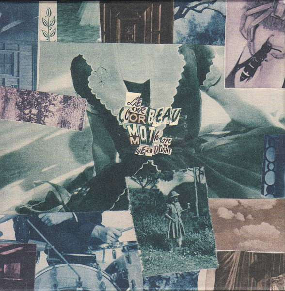 LE CORBEAU - MOTH ON THE HEADLIGHT