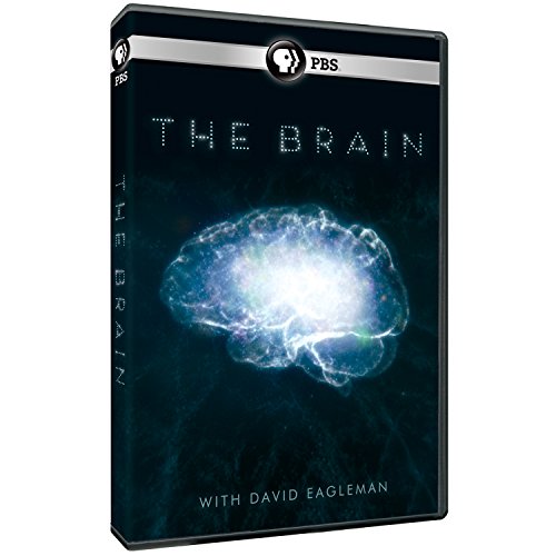 BRAIN (DOCUMENTARY) - DVD-2 DISCS (PBS)