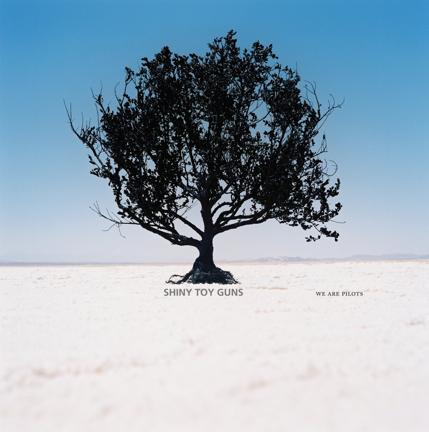 SHINY TOY GUNS - WE ARE PILOTS