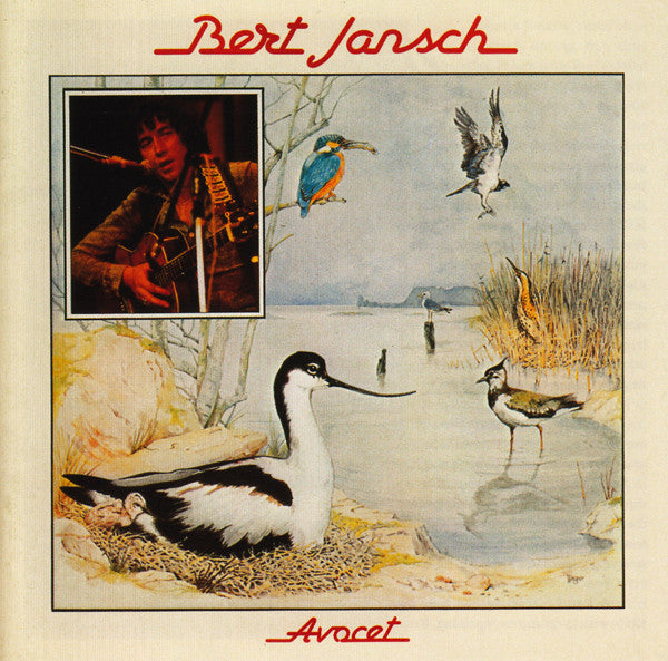 JANSCH, BERT - AVOCET