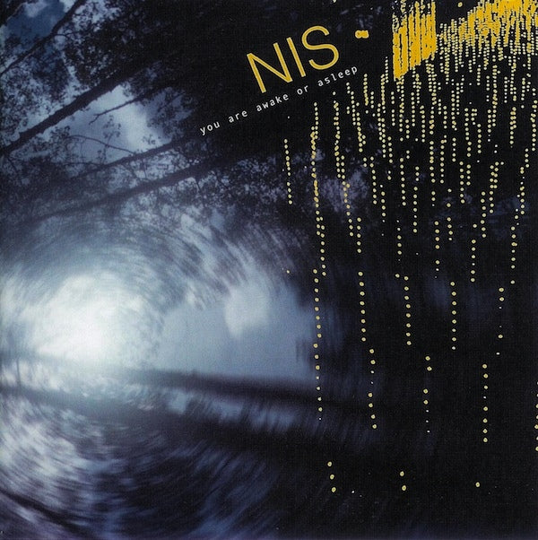 NEW IDEA SOCIETY - YOU ARE AWAKE OR ASLEEP