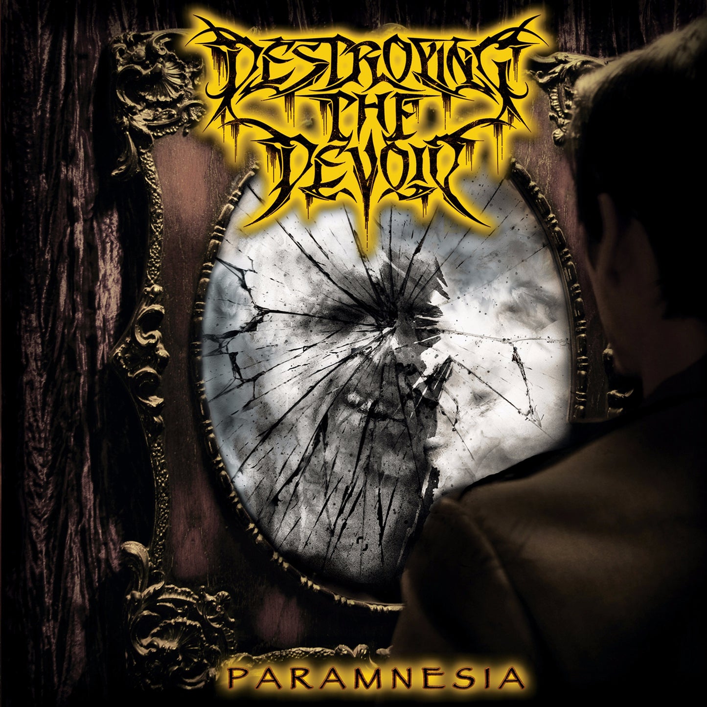 DESTROYING THE DEVOID - PARAMNESIA