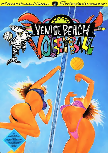 VENICE BEACH VOLLEYBALL - NES (W/BOX & MANUAL)