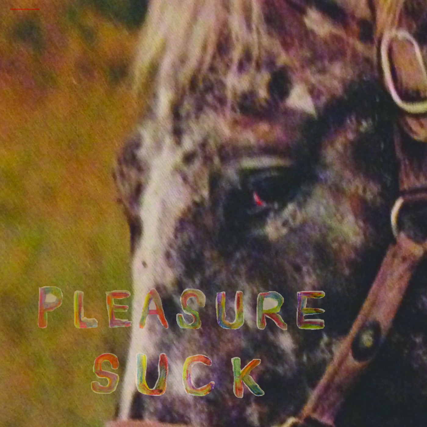 SPIRIT OF THE BEEHIVE - PLEASURE SUCK