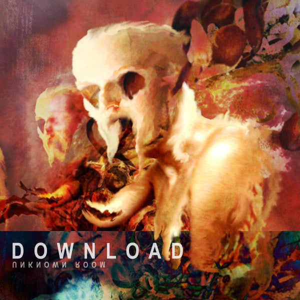 DOWNLOAD - UNKNOWN ROOM