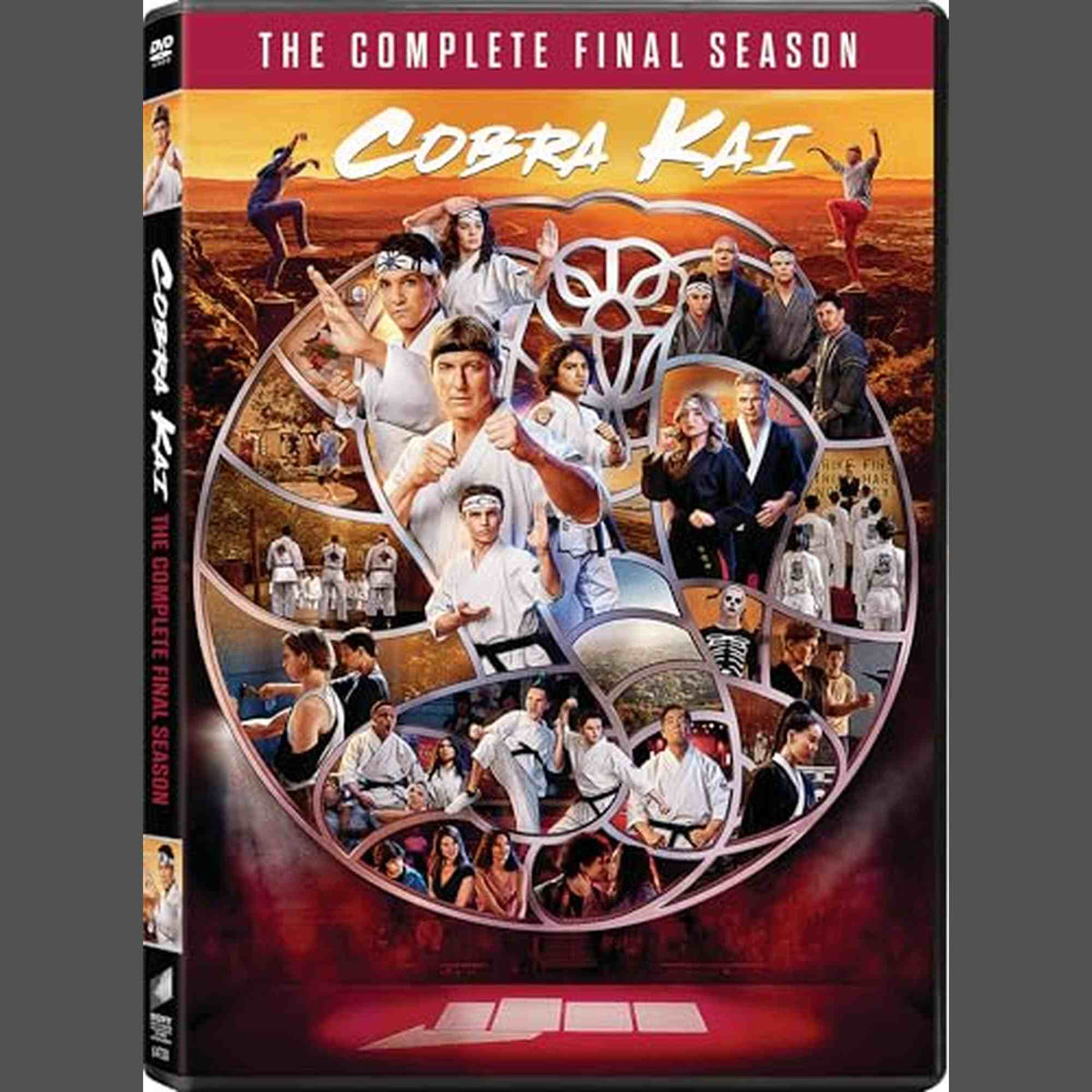COBRA KAI - DVD-COMPLETE FINAL SEASON