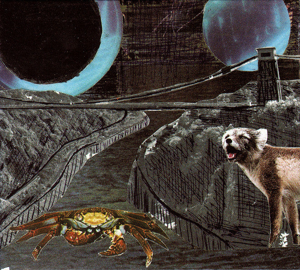 DEERHOOF - GREEN COSMOS