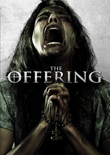 THE OFFERING