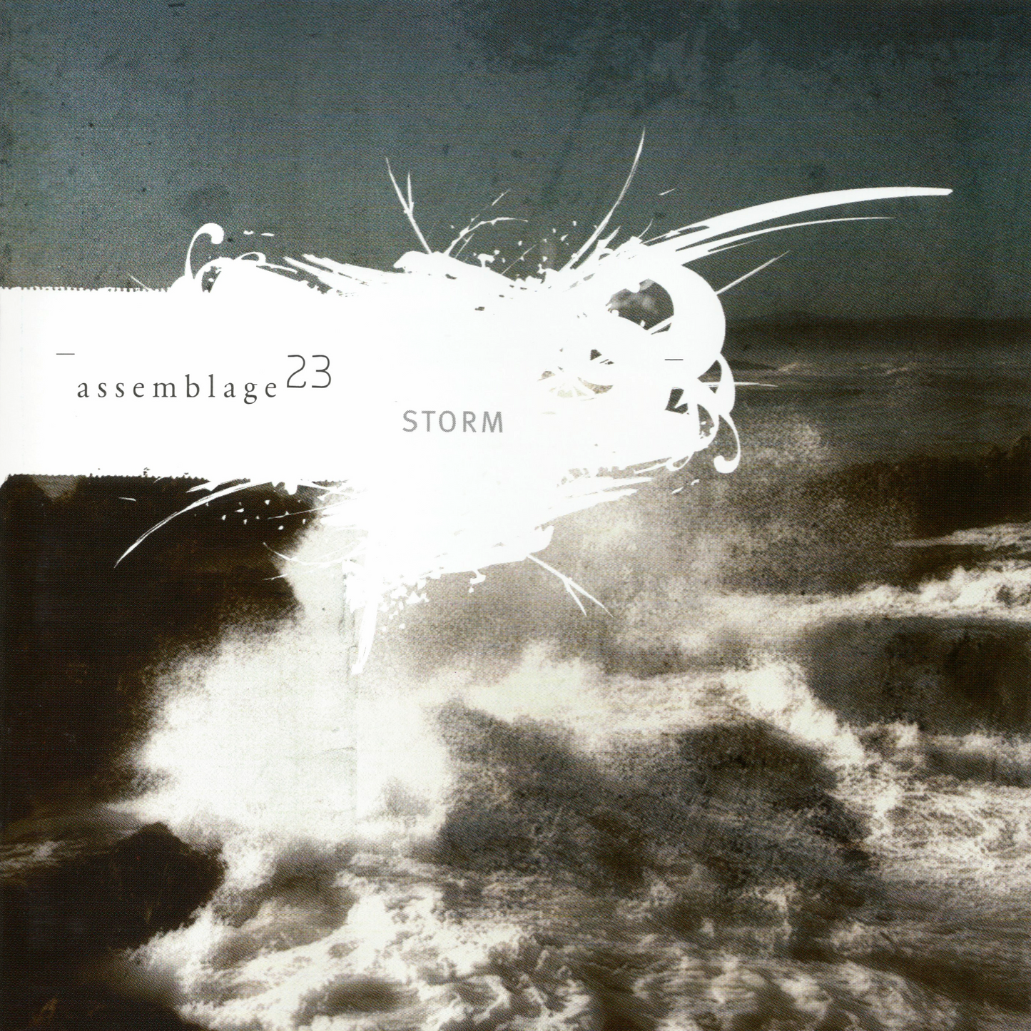 ASSEMBLAGE 23 - STORM
