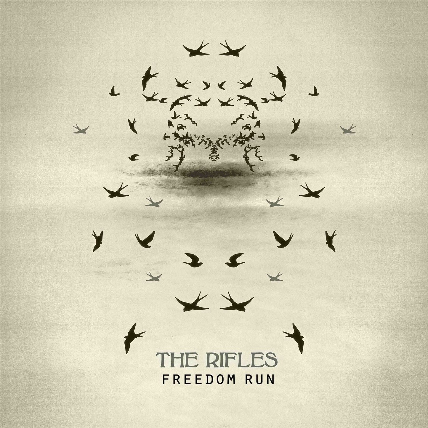 RIFLES - FREEDOM RUN