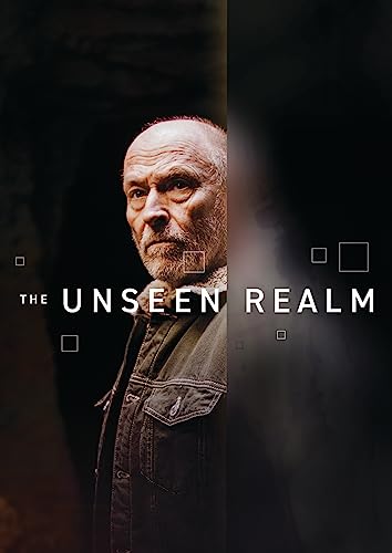 THE UNSEEN REALM