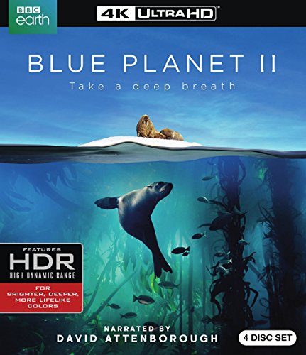 BLUE PLANET II (4K ULTRA HD)