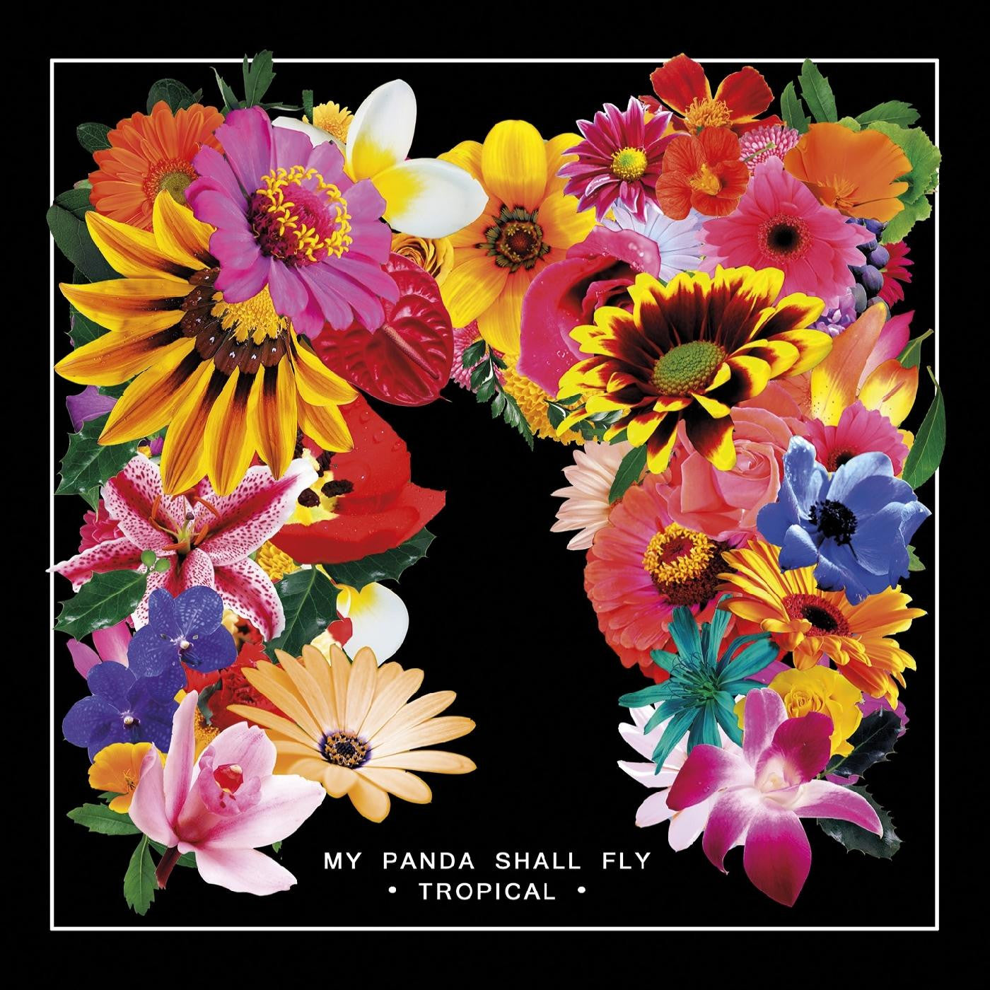 MY PANDA SHALL FLY - TROPICAL