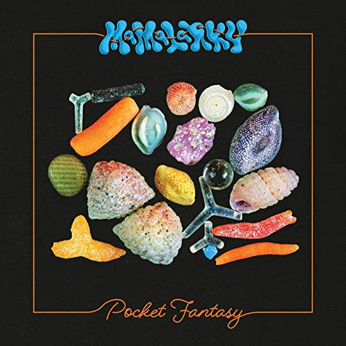 MAMALARKY - POCKET FANTASY (VINYL)