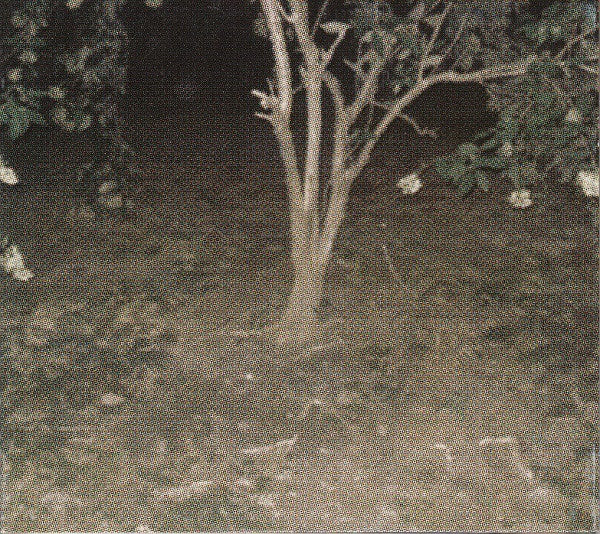 MCKIEL, JON - CONFIDENCE LODGE