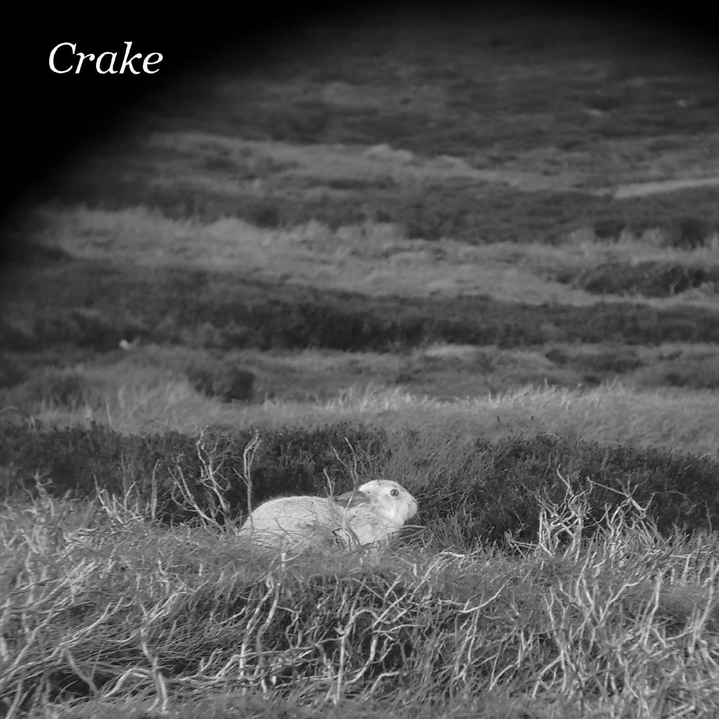 CRAKE - ENOUGH SALT (FOR ALL DOGS) B/W GEF