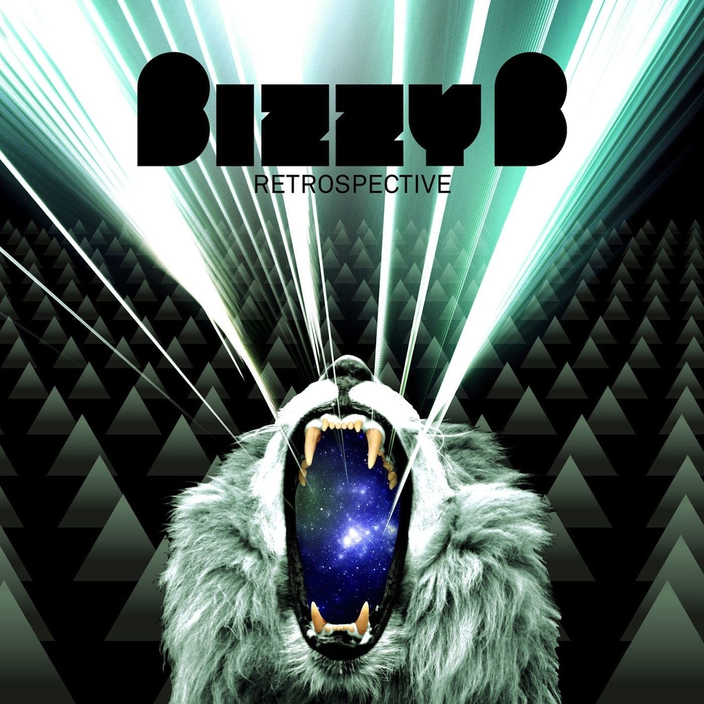 BIZZY B - RETROSPECTIVE
