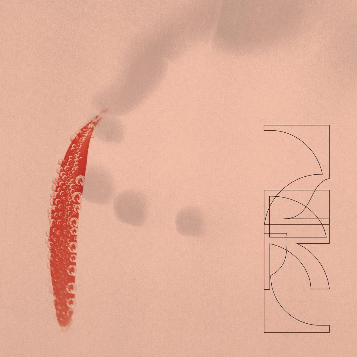 ZRL - OUR SAVINGS