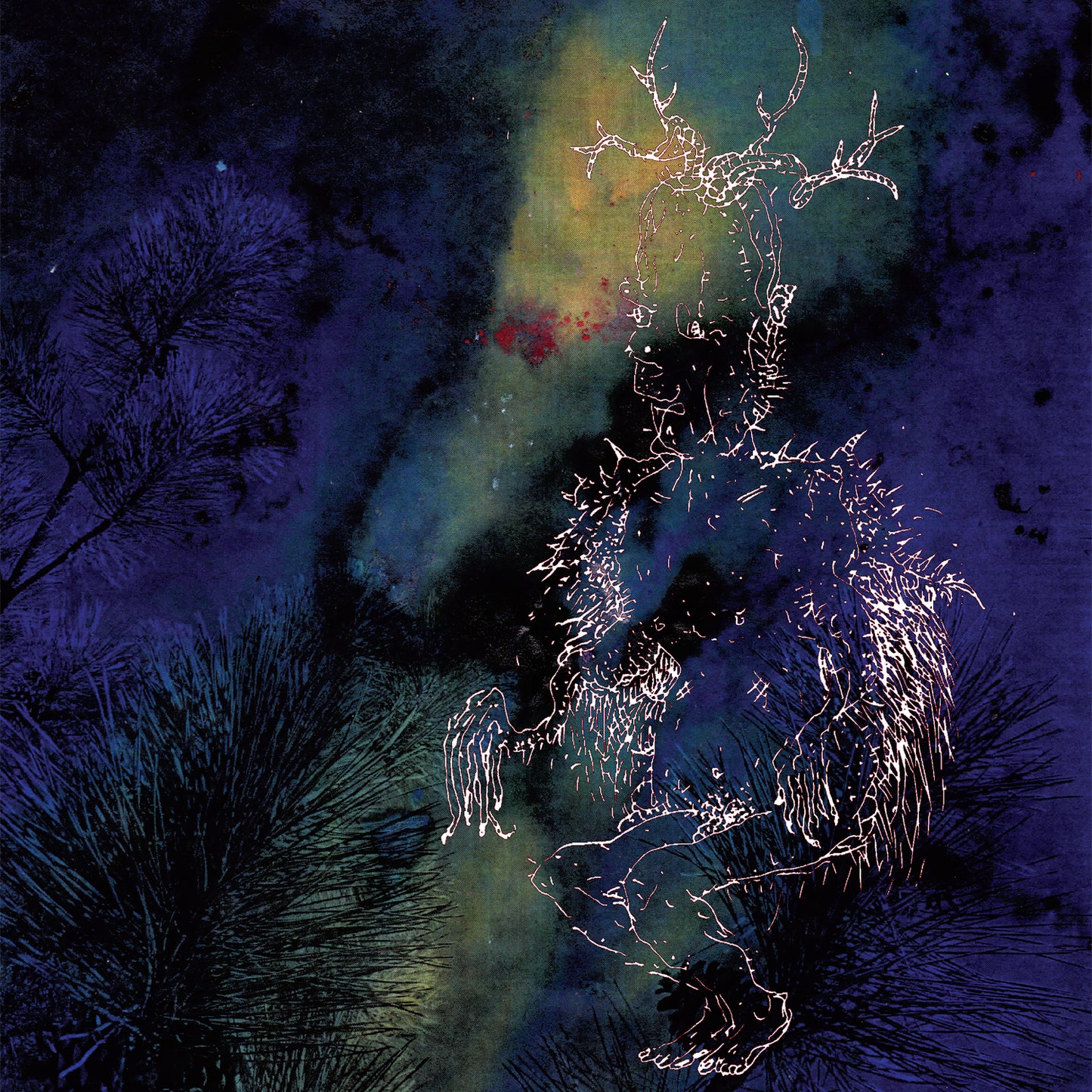BARDO POND - UNDER THE PINES