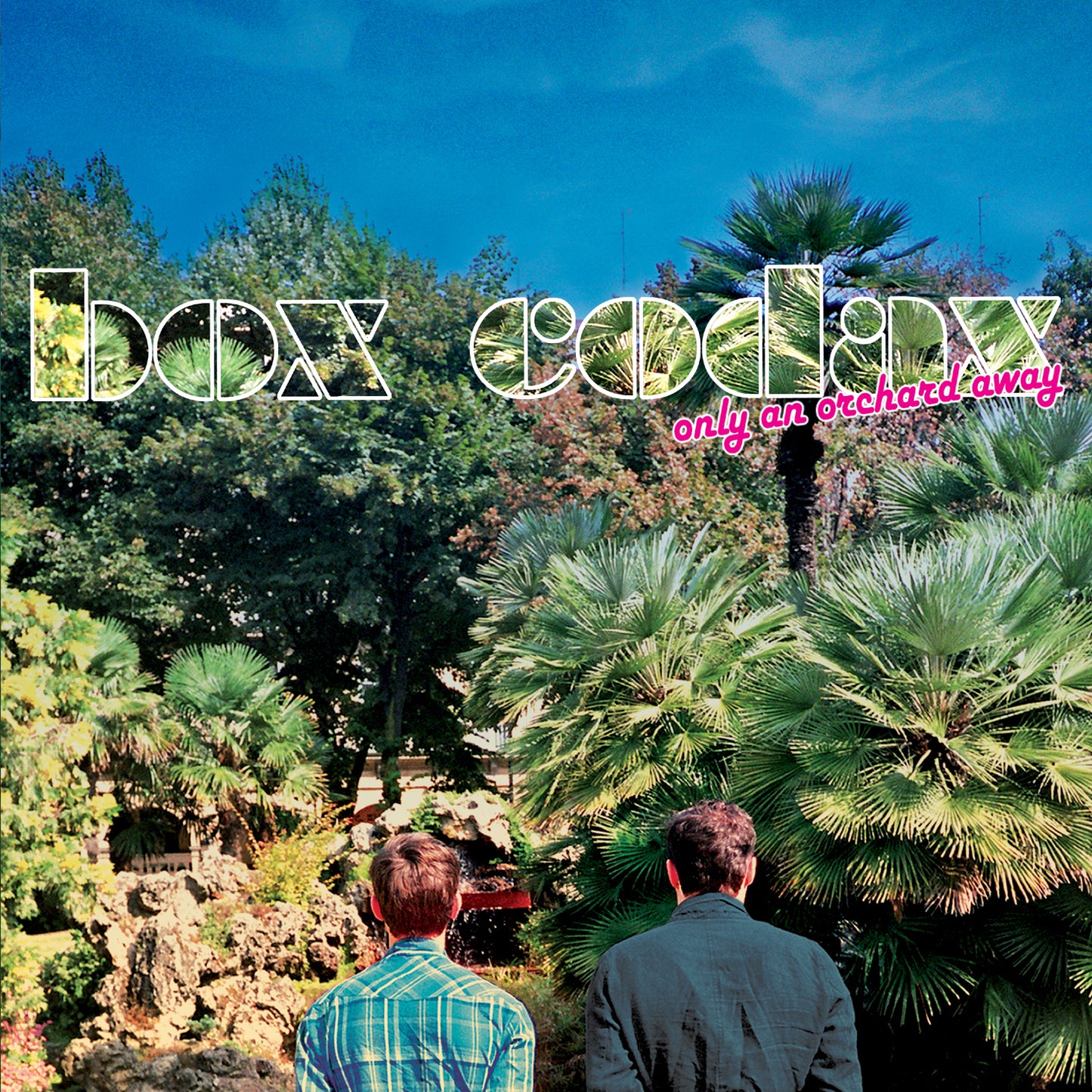 BOX CODAX - ONLY AN ORCHARD AWAY