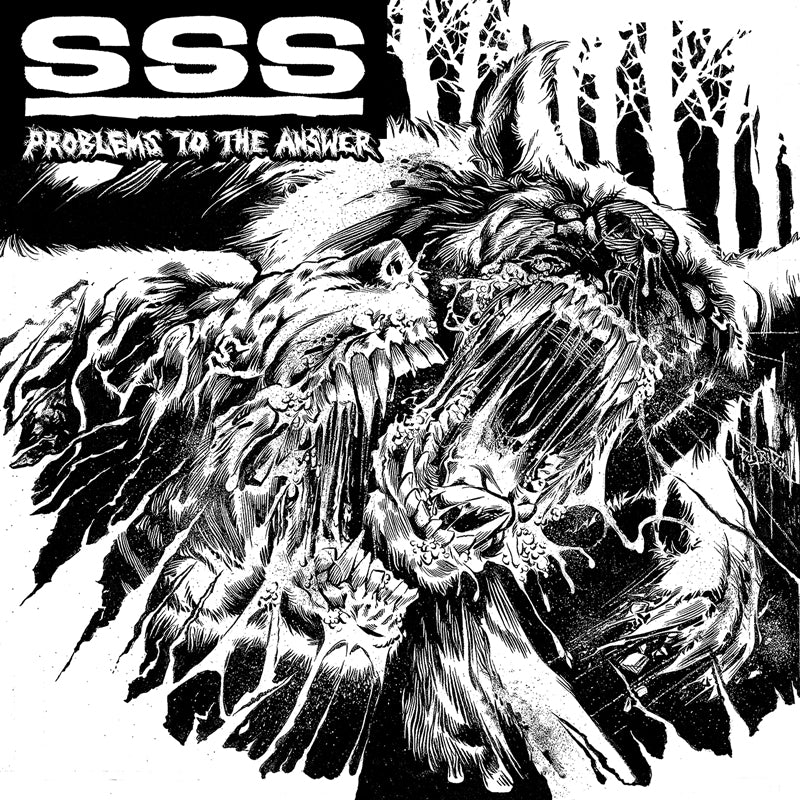 SSS - PROBLEMS TO THE ANSWER