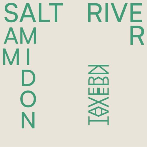 SAM AMIDON - SALT RIVER (VINYL)