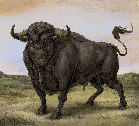 SAN FERMIN - ST
