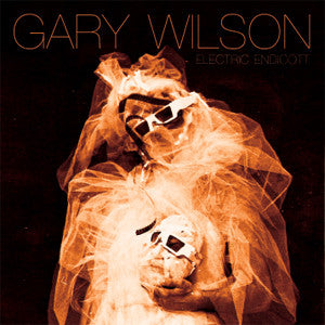 WILSON, GARY - ELECTRIC ENDICOTT