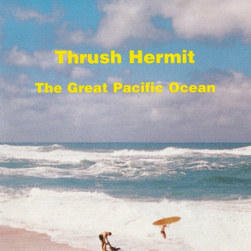 THRUSH HERMIT - GREAT PACIFIC OCEAN