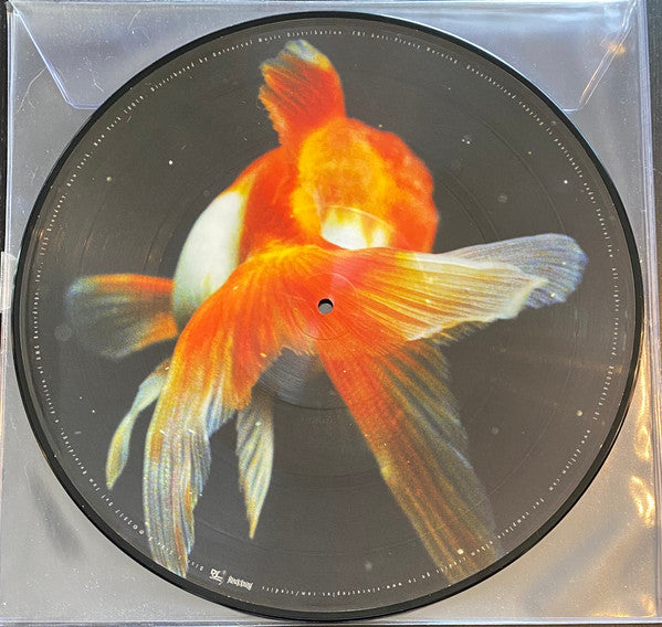 Vince Staples - Big Fish Theory (Picture Disc) (Used LP)