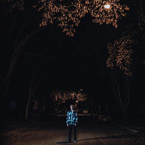 FACTOR CHANDELIER - EASTLAKE (VINYL)