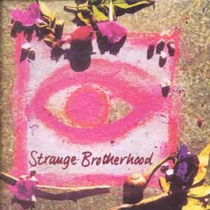 NEW MODEL ARMY - STRANGE BROTHERHOOD