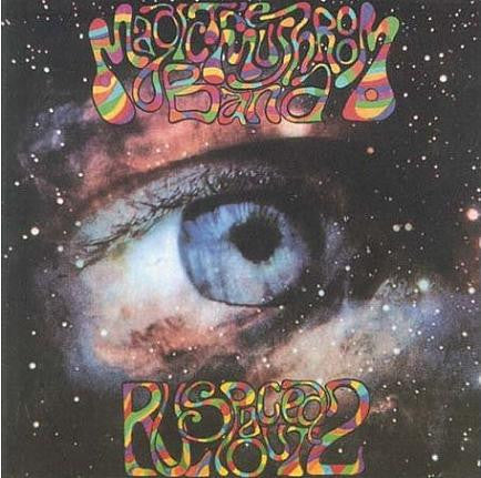 MAGIC MUSHROOM BAND - R U SPACED OUT 2