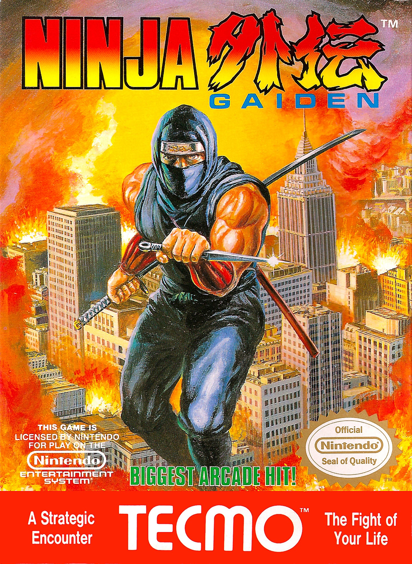 NINJA GAIDEN - NES