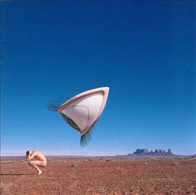 CRANBERRIES - USED-THE CRANBERRIES-BURY THE HATCHET (1999)